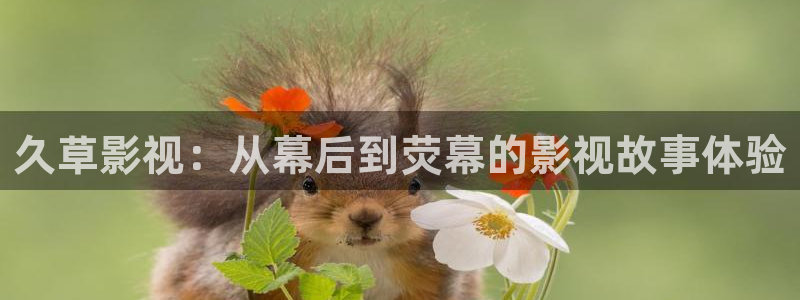 汤姆影院新地址